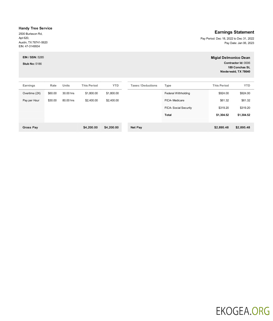 Modèle de déclaration de résultats de Handy Tree Service aux formats Word et PDF.pdf, 1